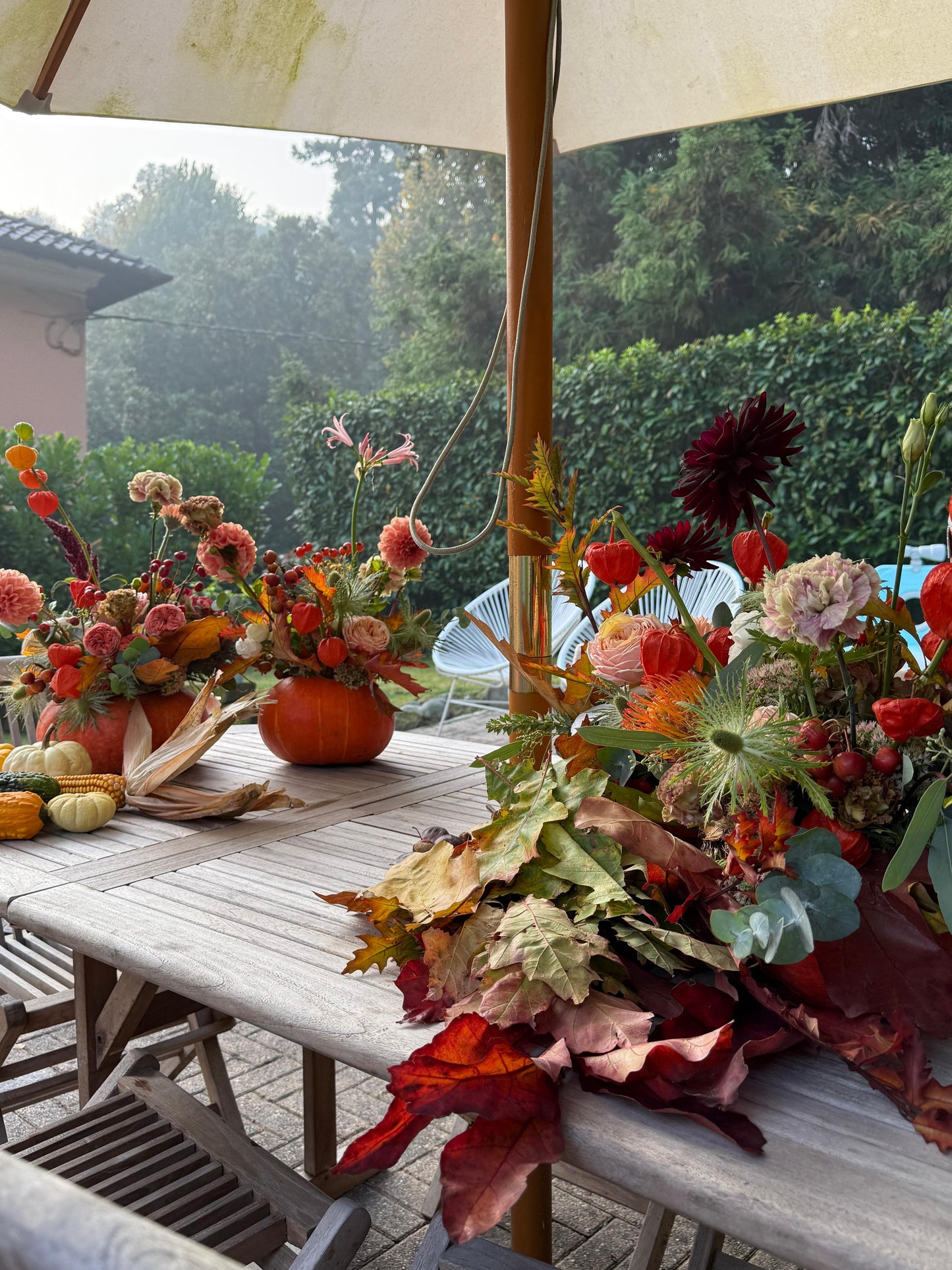 Zucca Fiorita