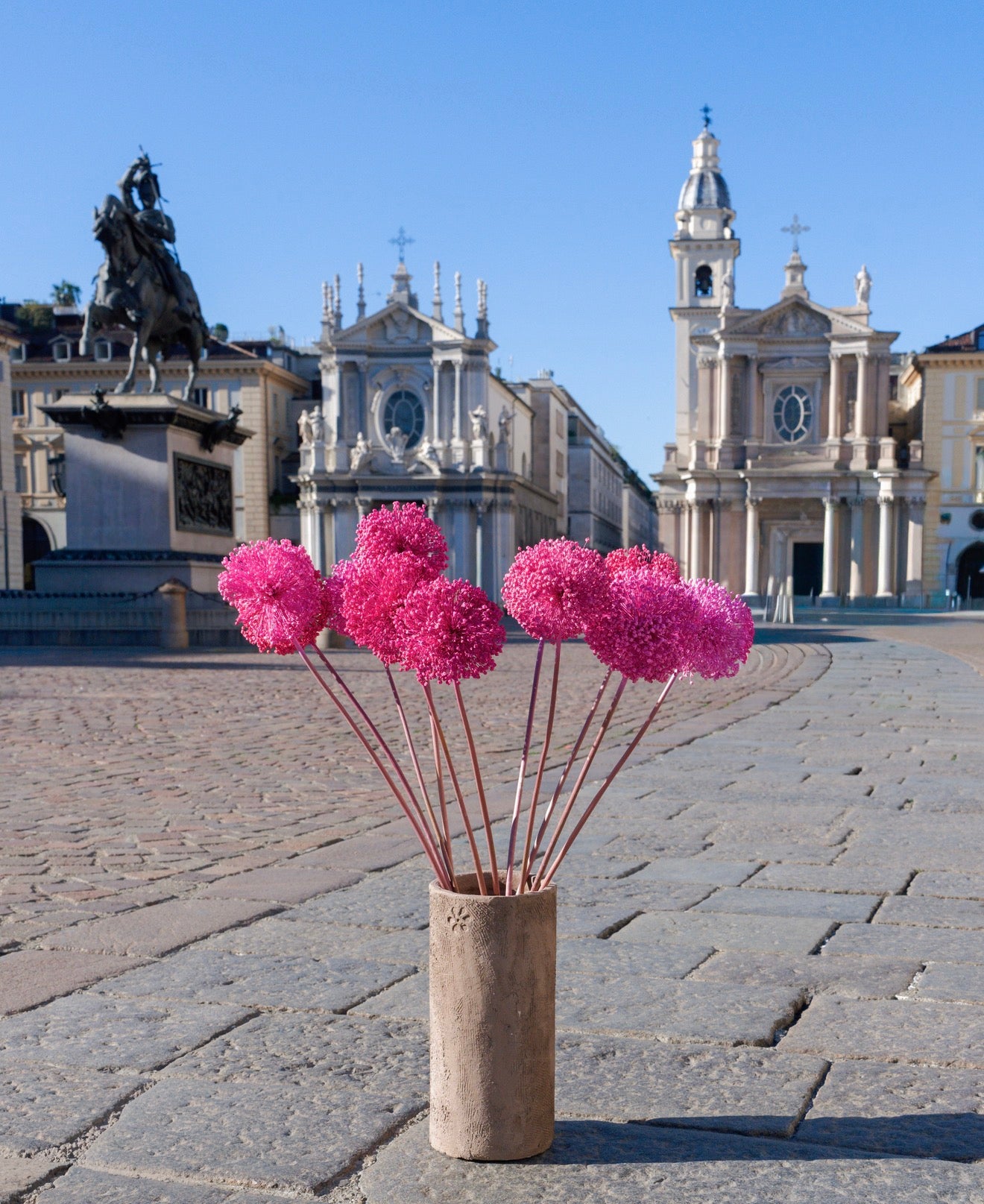 Allium – Sfumature Fuxia| fiore essiccato decorativo
