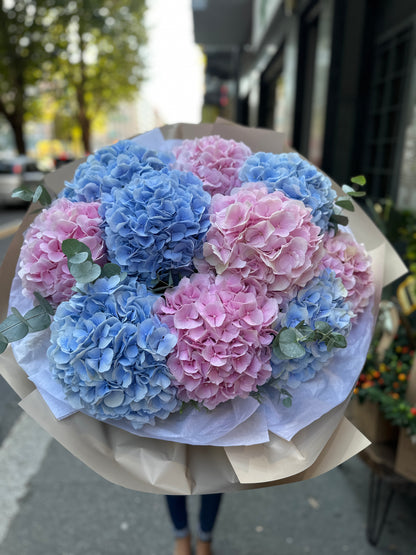Bouquet di ortensie XL