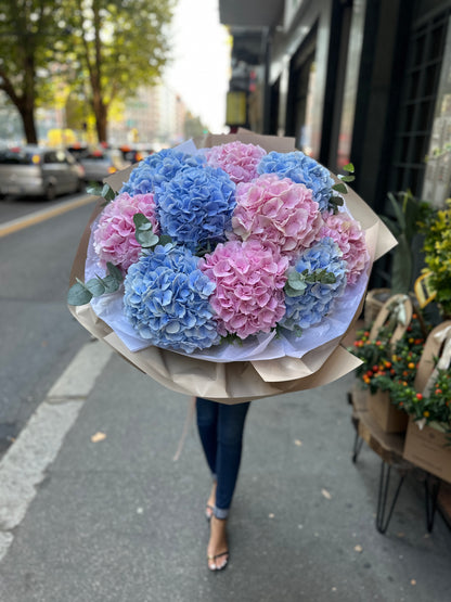 Bouquet di ortensie XL