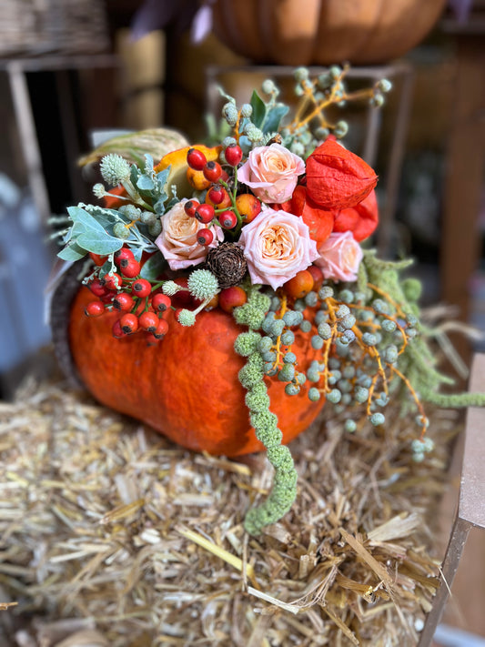 Zucca fiorita
