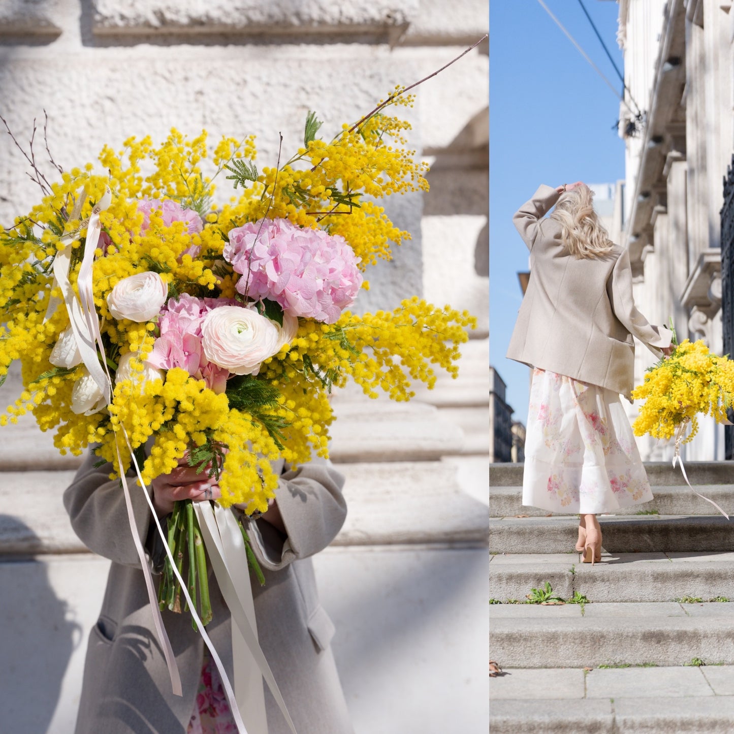 Bouquet Mimosa