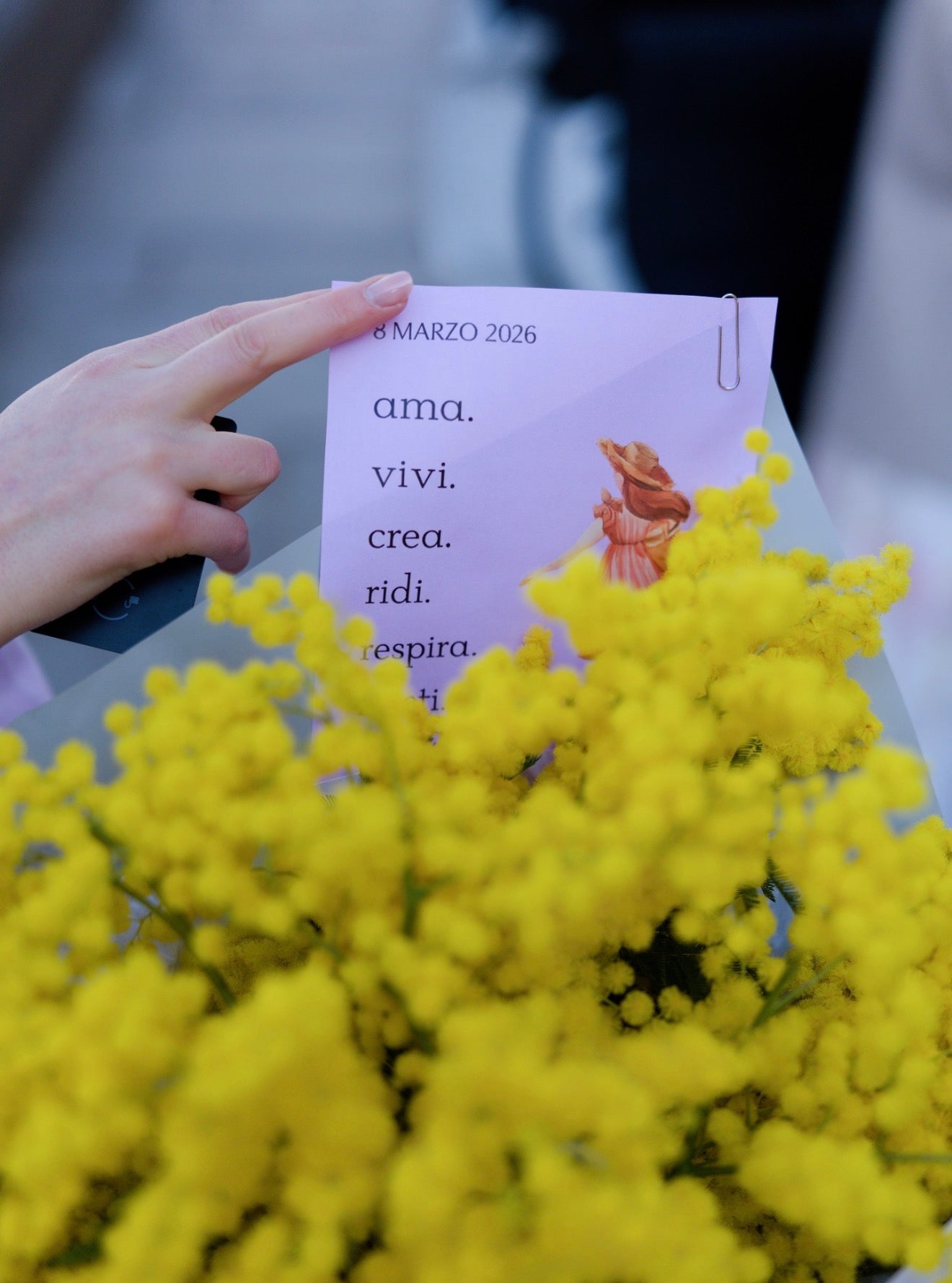 Bouquet di mimosa