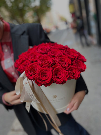 Luxury Box Forever di Rose stabilizzate