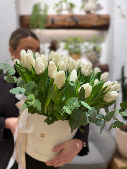 Blooming 40 Tulips