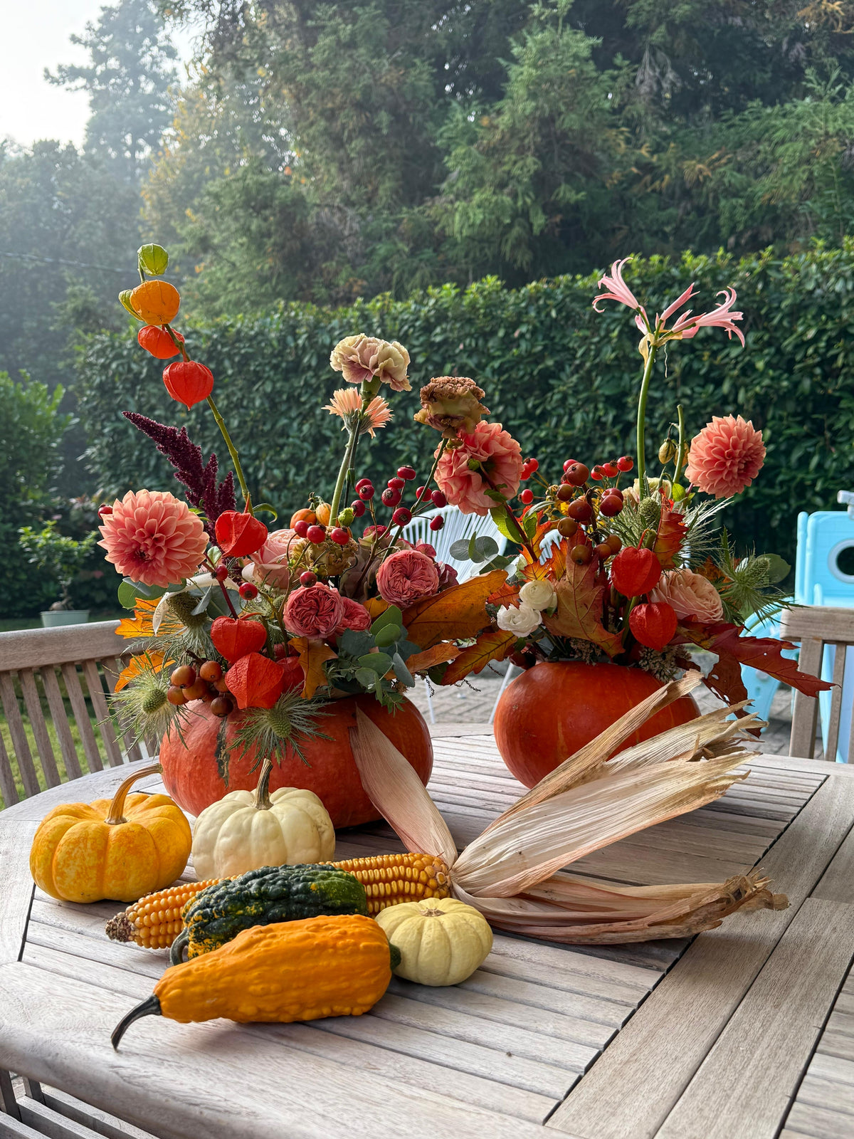 PUMPKIN EXPERIENCE