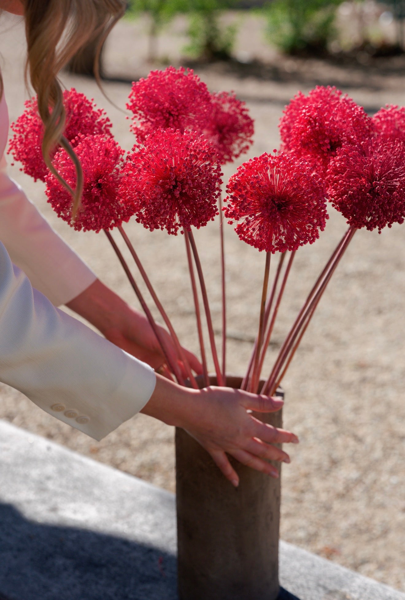 Allium – Sfumature Coralo | fiore essiccato decorativo