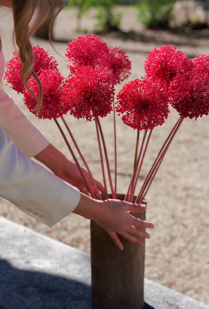 Allium – Sfumature Coralo | fiore essiccato decorativo