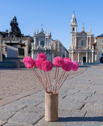 Allium – Sfumature Fuxia| fiore essiccato decorativo