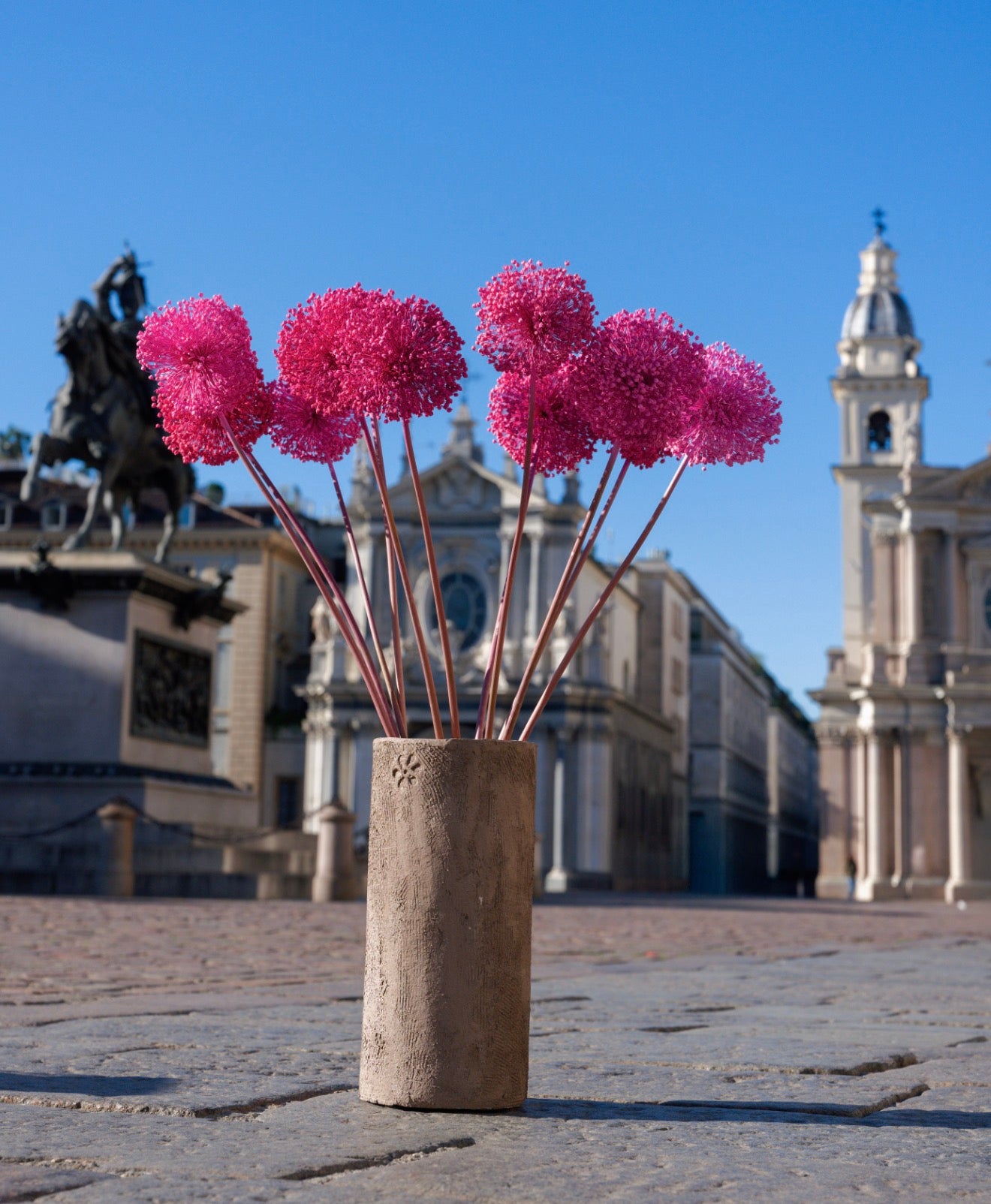 Allium – Sfumature Fuxia| fiore essiccato decorativo